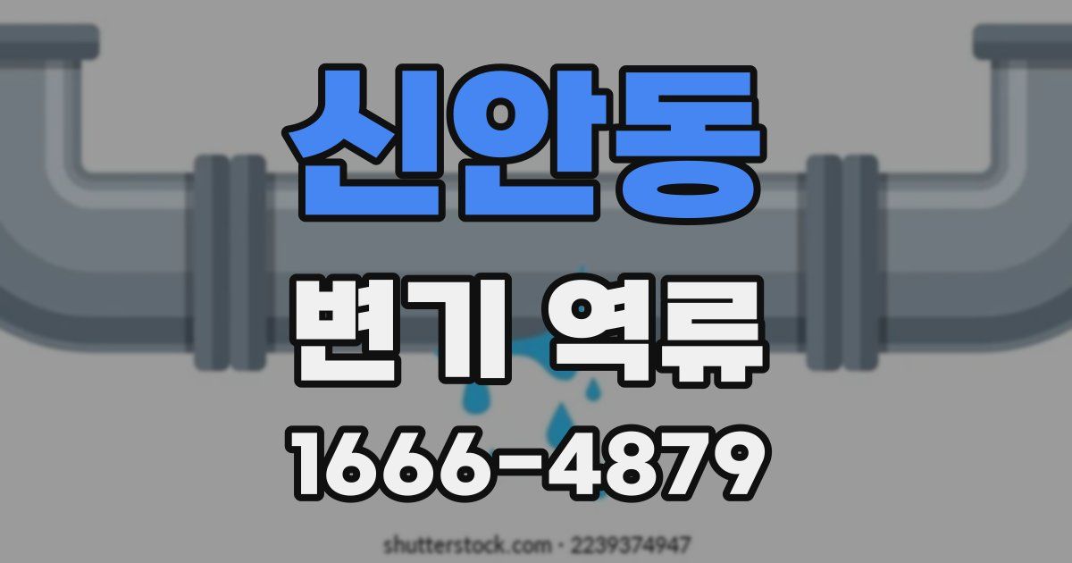 신안동 변기 역류