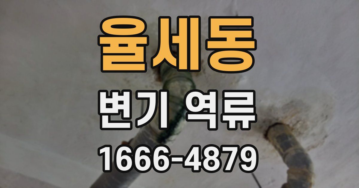 율세동 변기 역류