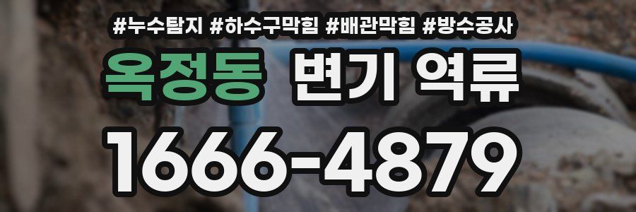 옥정동 변기 역류