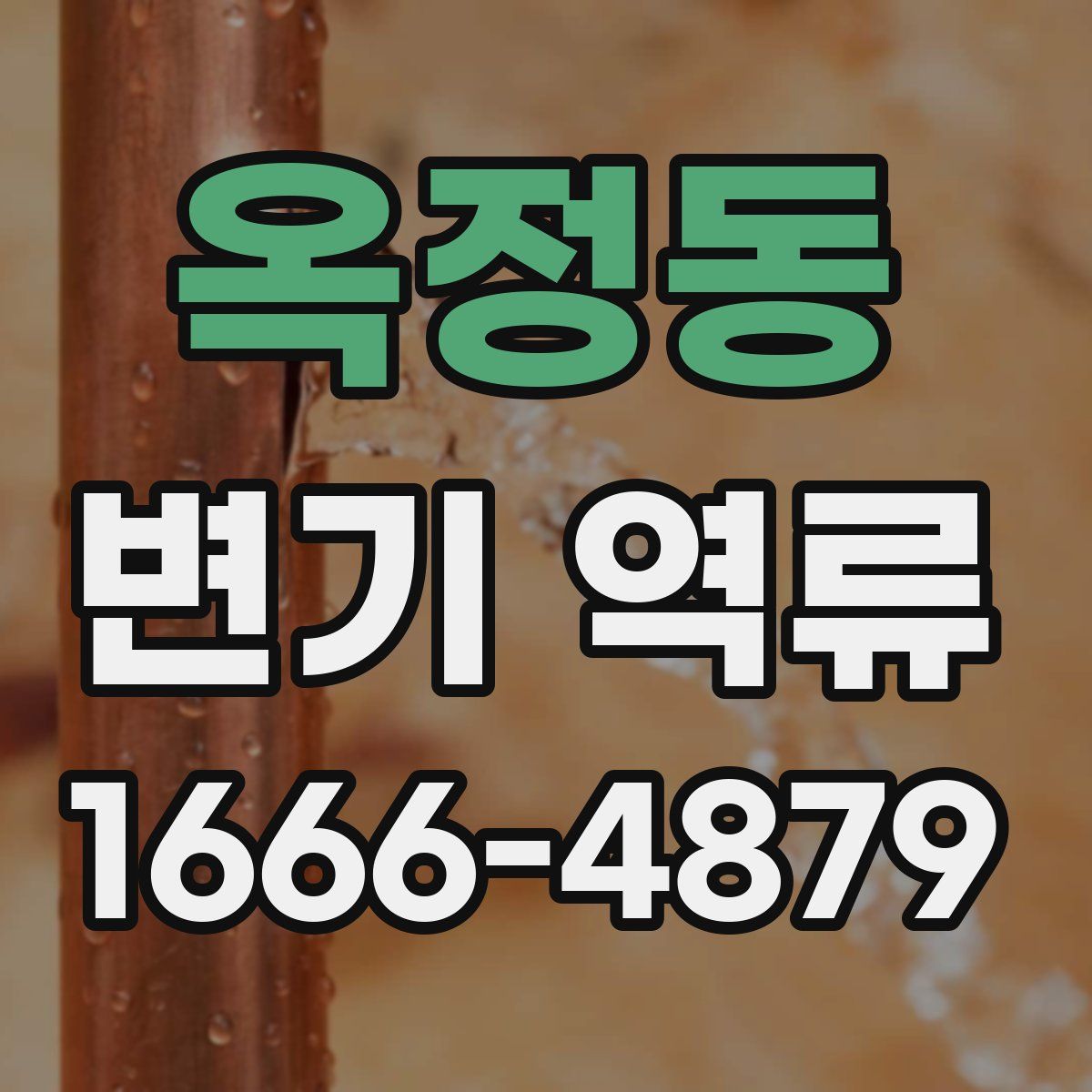 옥정동 변기 역류