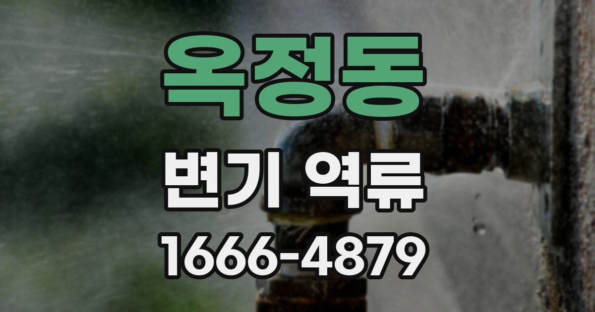 옥정동 변기 역류