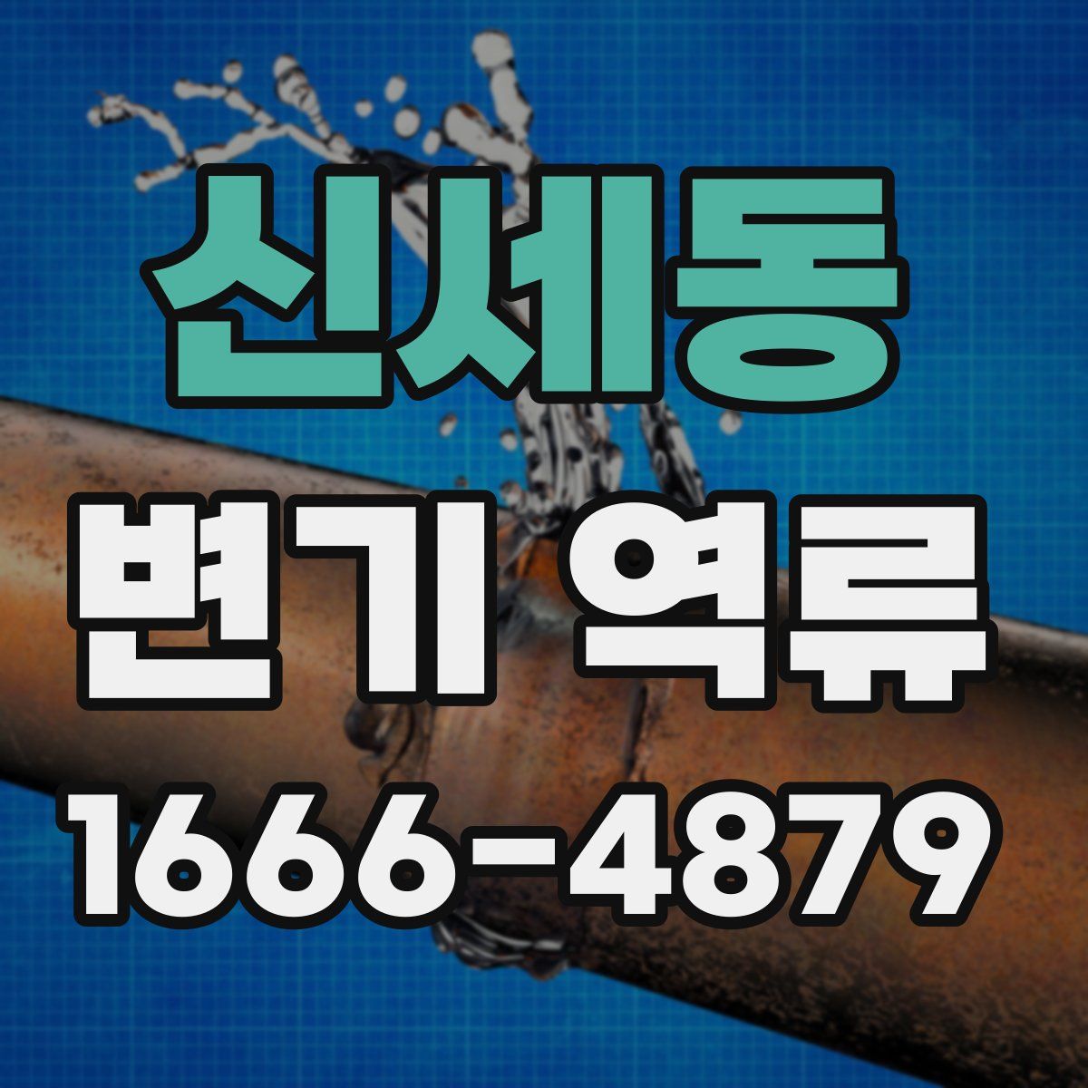 신세동 변기 역류