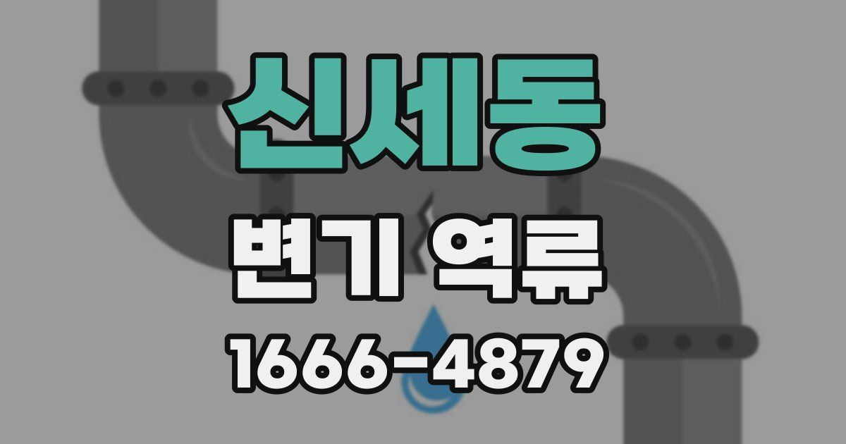 신세동 변기 역류