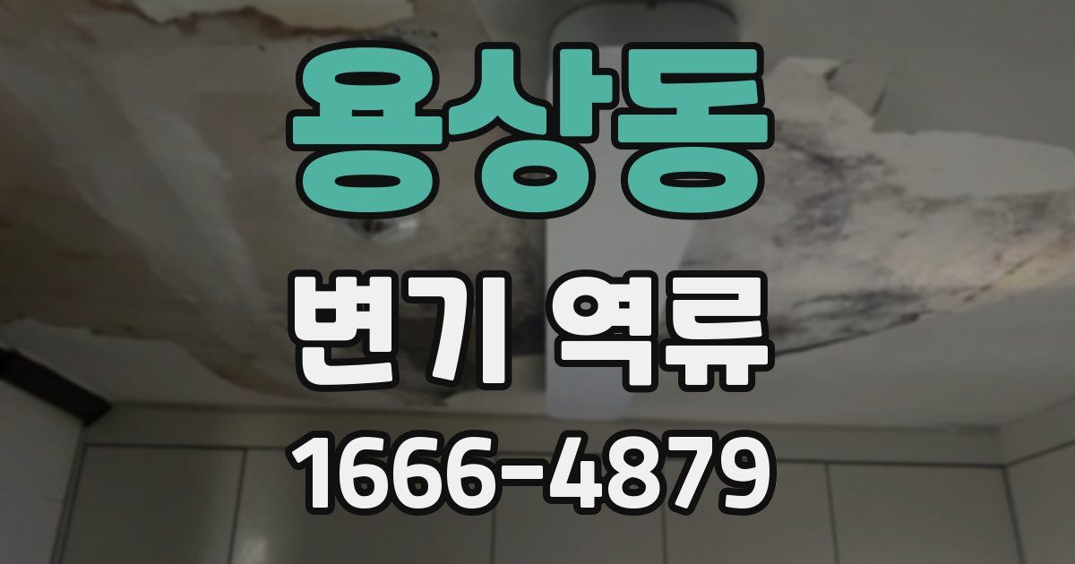 용상동 변기 역류