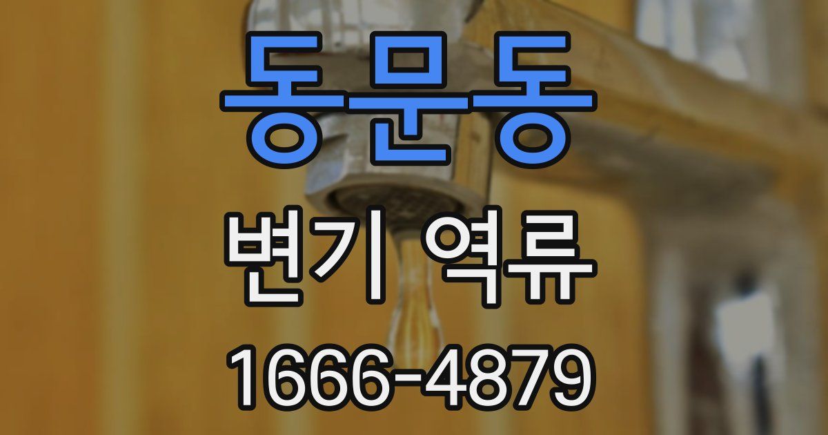 동문동 변기 역류
