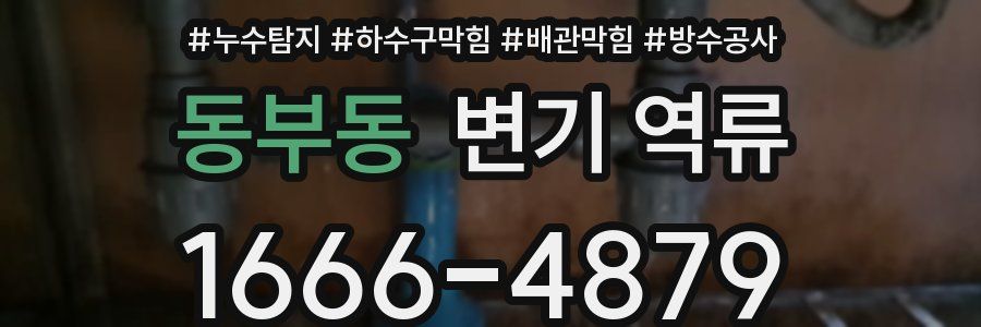동부동 변기 역류