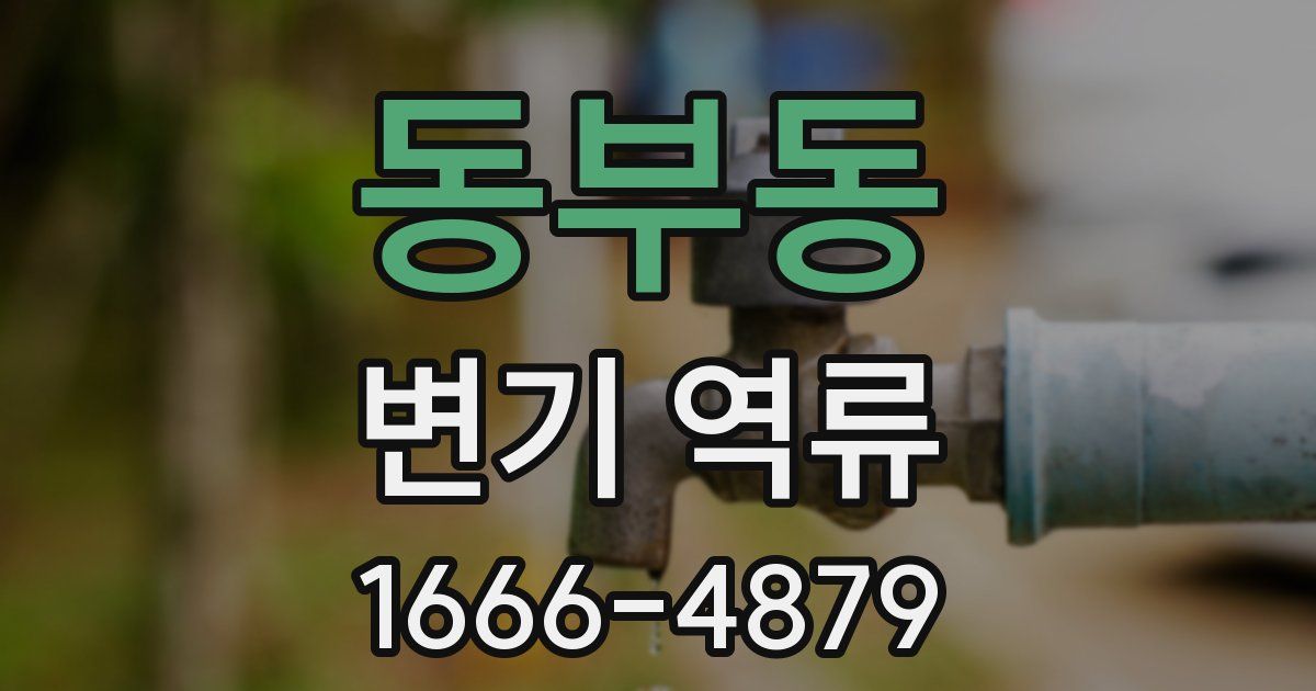 동부동 변기 역류