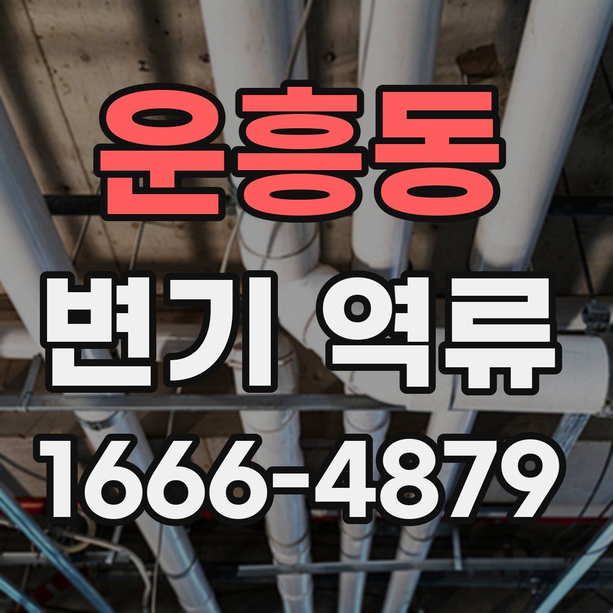 운흥동 변기 역류