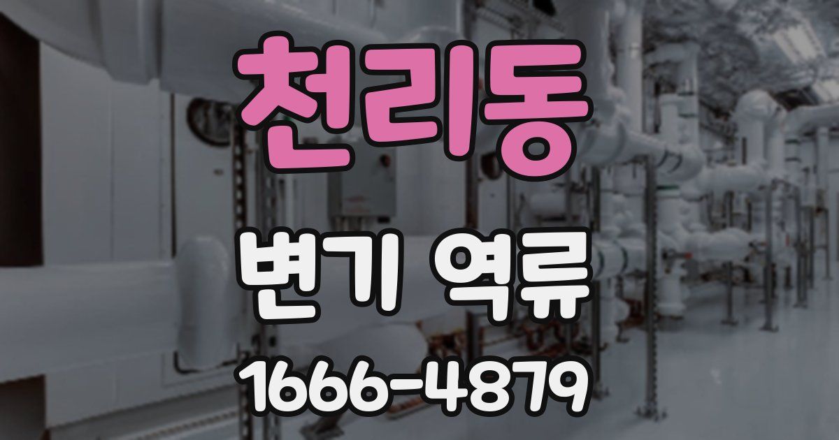 천리동 변기 역류
