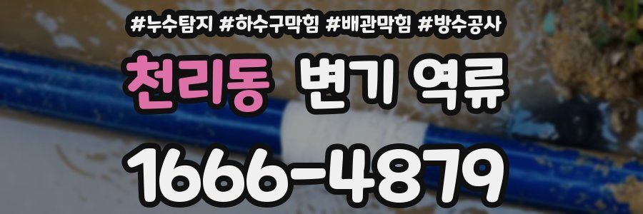 천리동 변기 역류