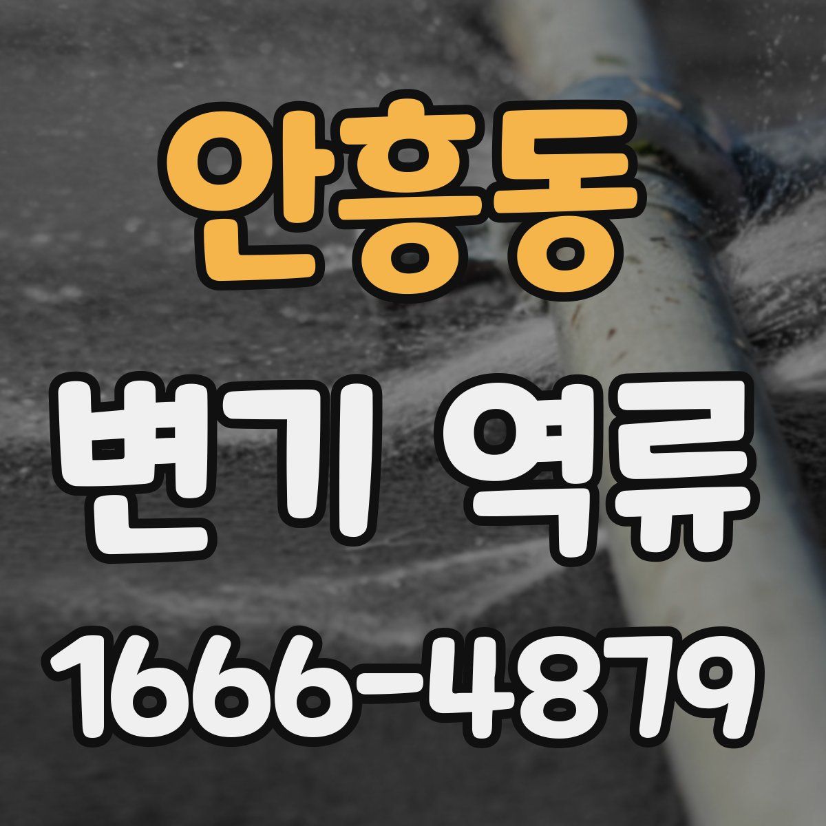 안흥동 변기 역류