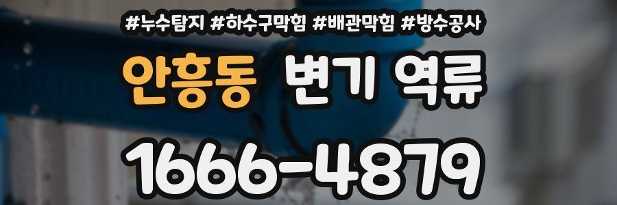 안흥동 변기 역류