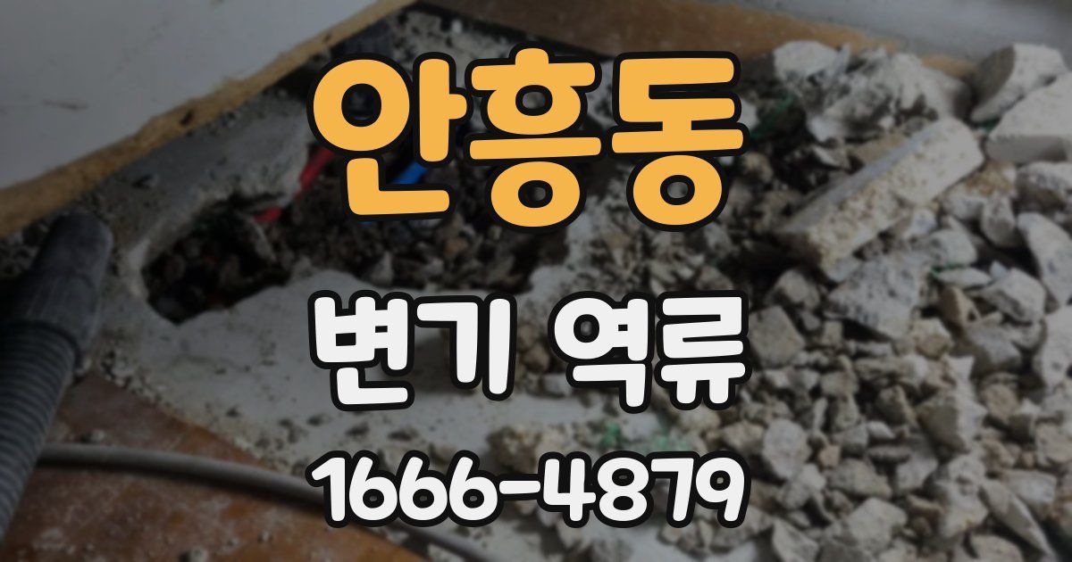 안흥동 변기 역류