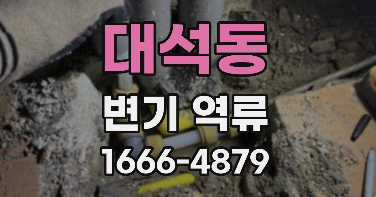 대석동 변기 역류