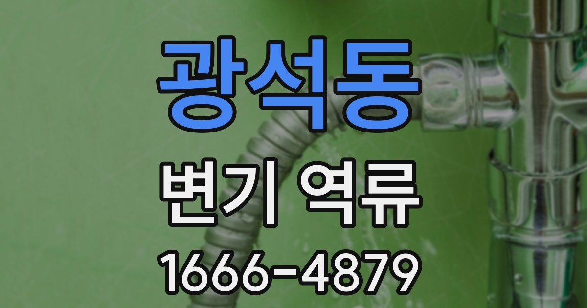 광석동 변기 역류
