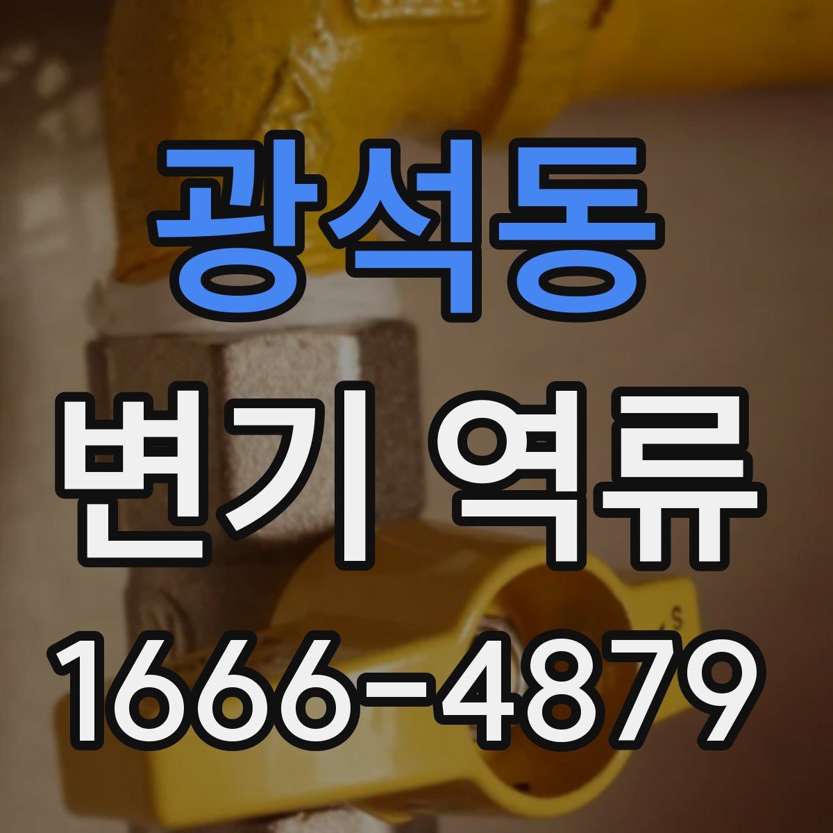 광석동 변기 역류