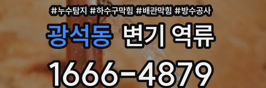 광석동 변기 역류