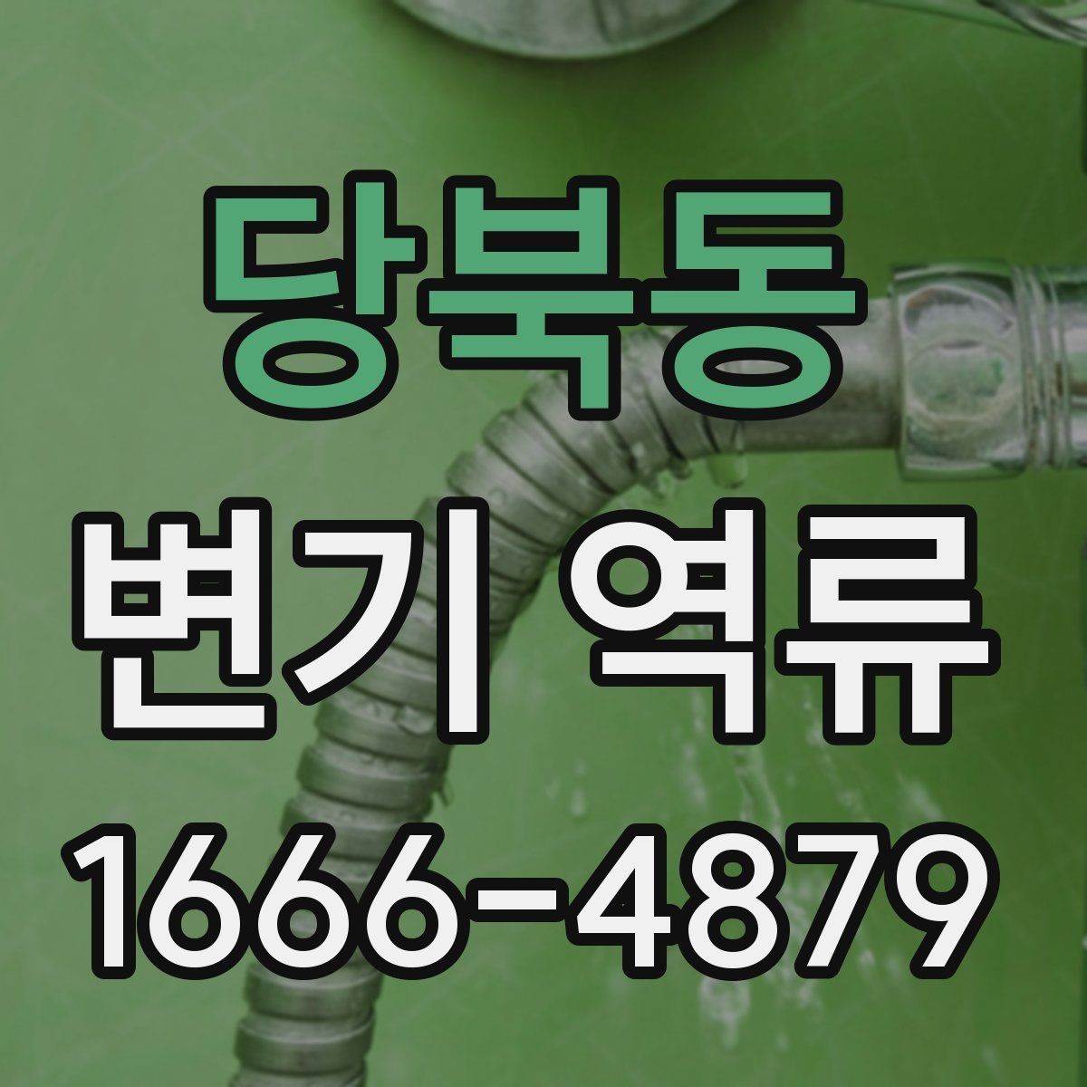 당북동 변기 역류 화장실 배수 문제를 구별하는 기준