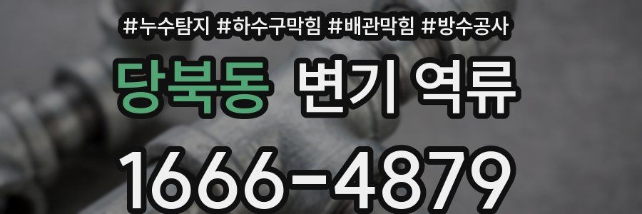 당북동 변기 역류