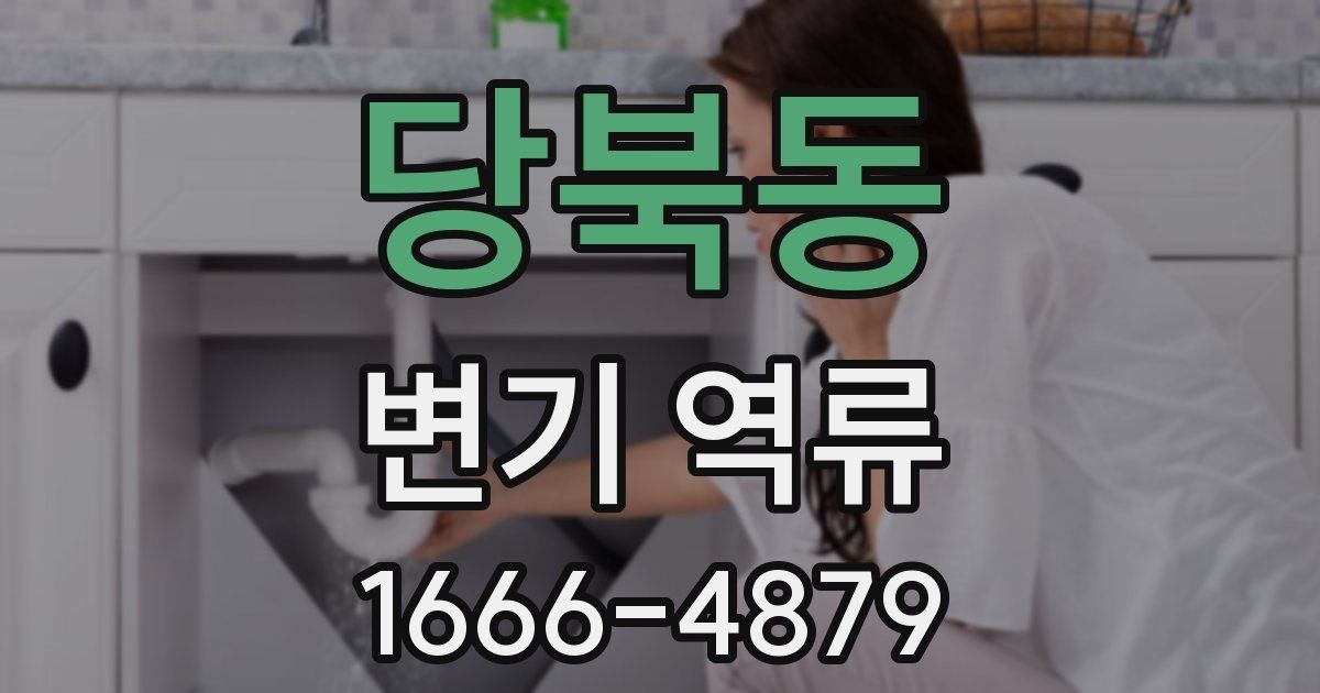 당북동 변기 역류