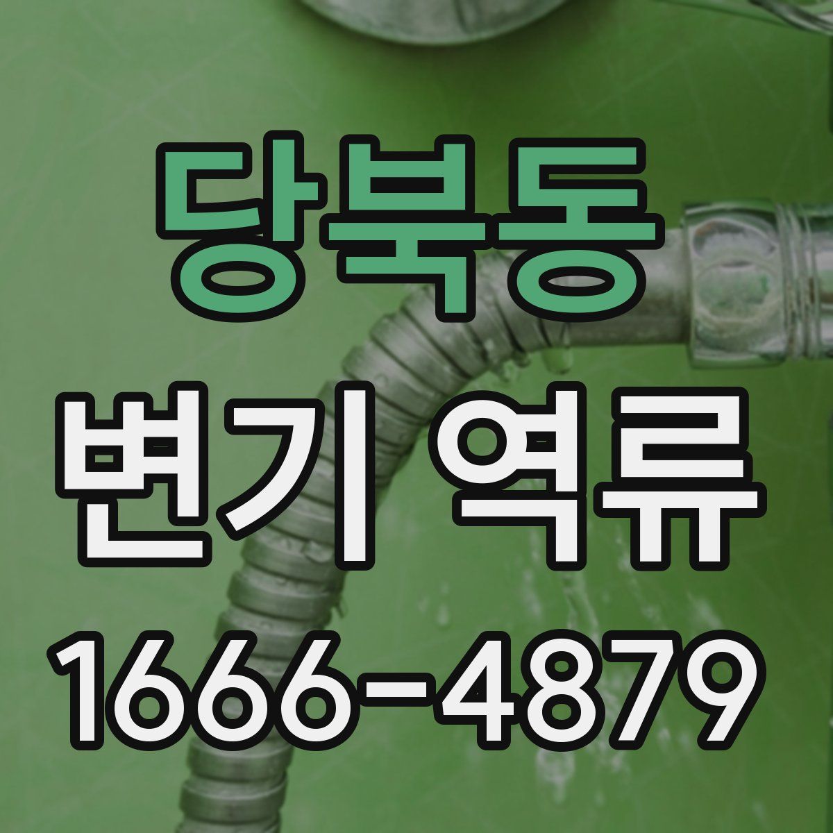 당북동 변기 역류