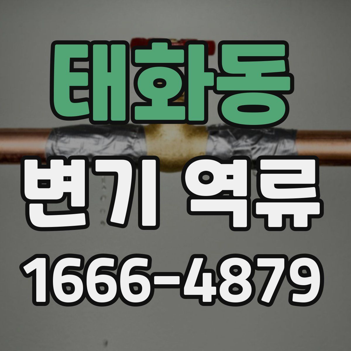 태화동 변기 역류