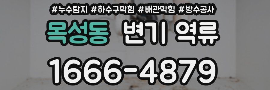목성동 변기 역류