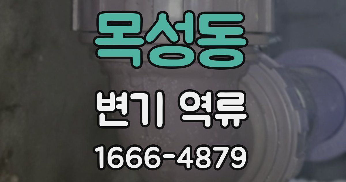 목성동 변기 역류