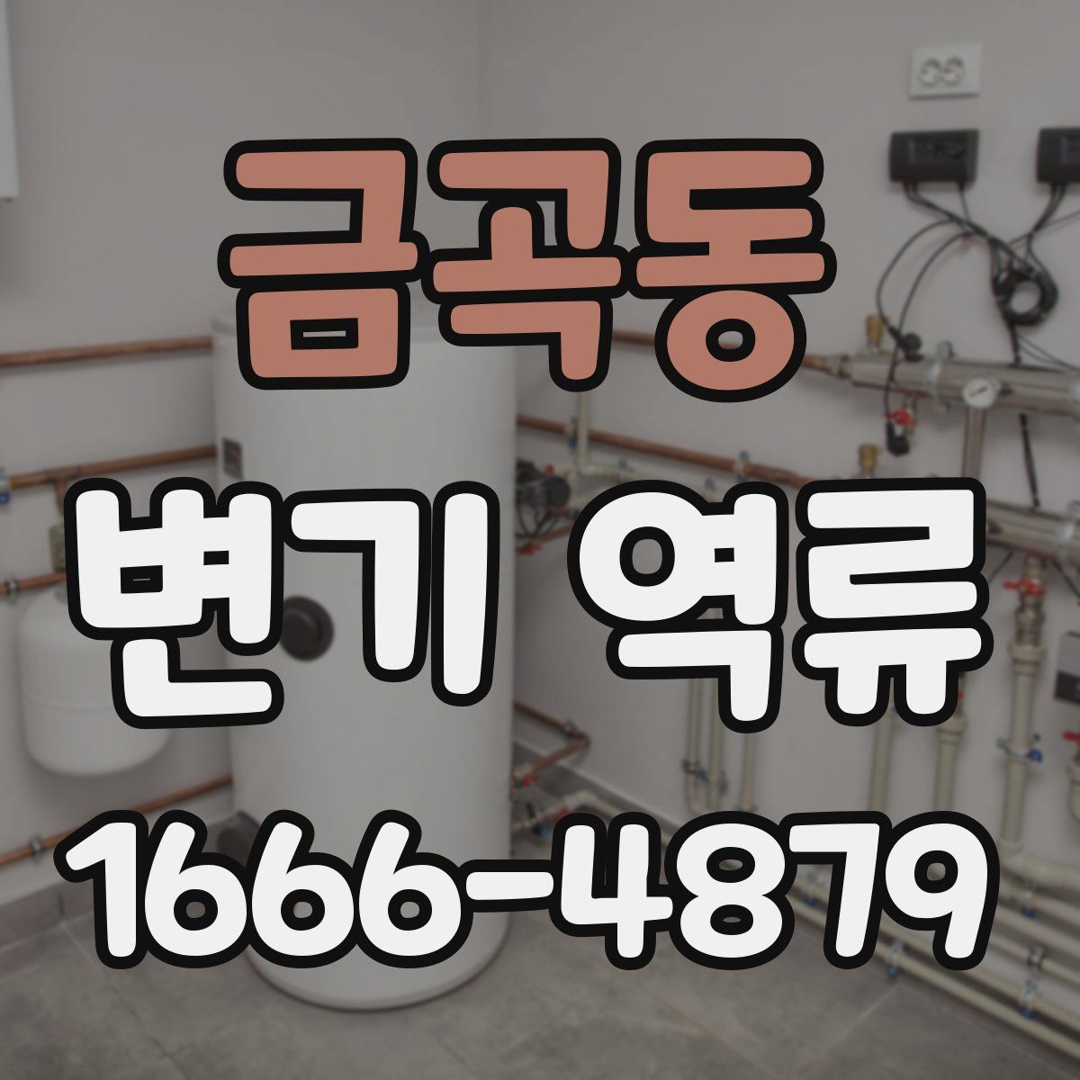 금곡동 변기 역류