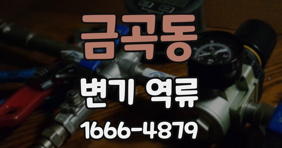 금곡동 변기 역류