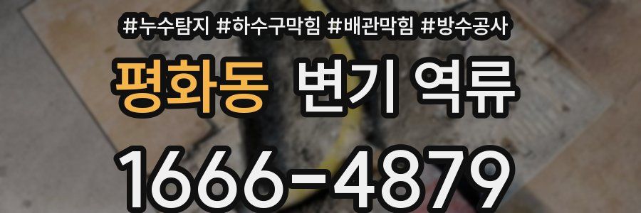 평화동 변기 역류