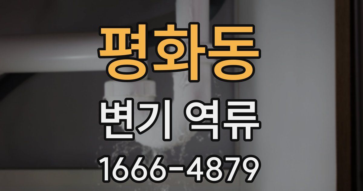 평화동 변기 역류