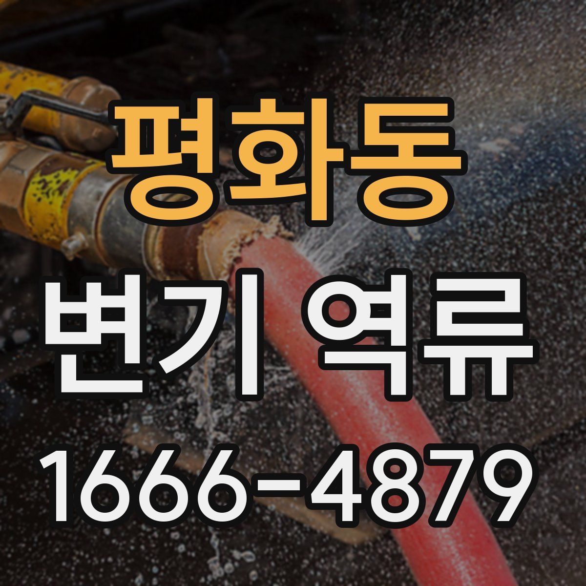 평화동 변기 역류