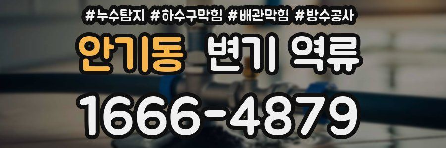 안기동 변기 역류
