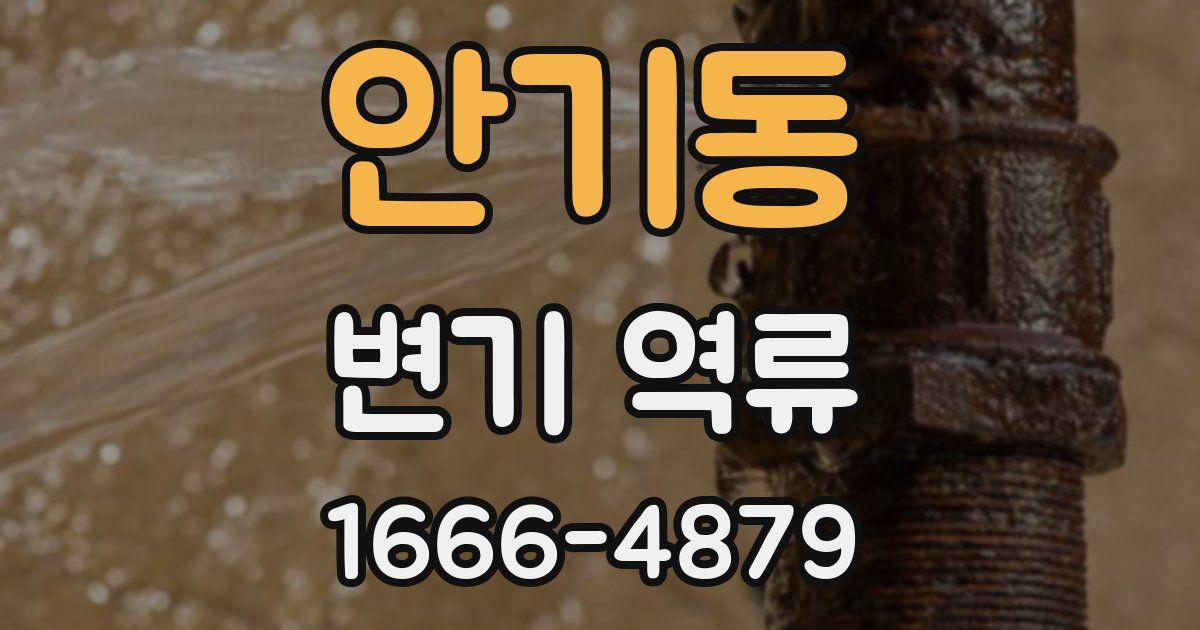 안기동 변기 역류