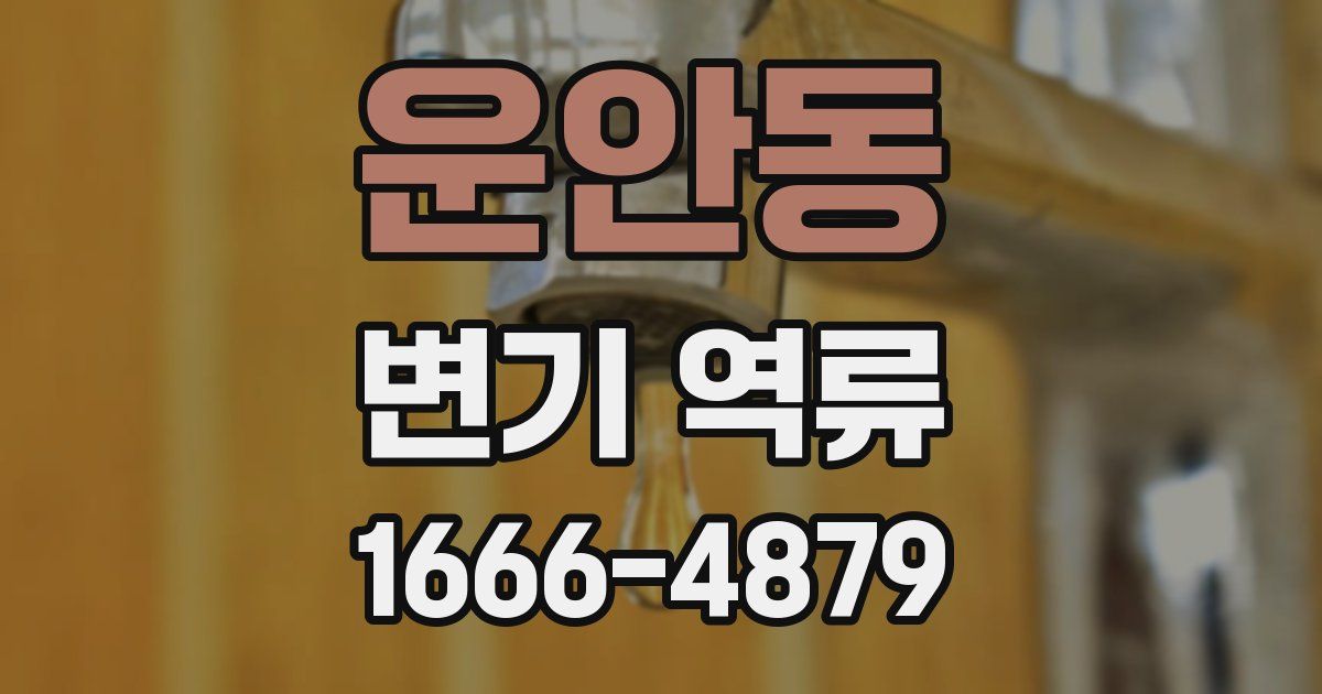 운안동 변기 역류