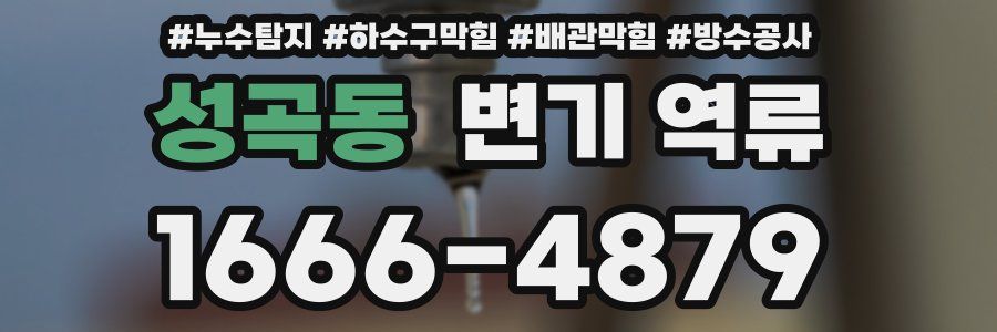 성곡동 변기 역류