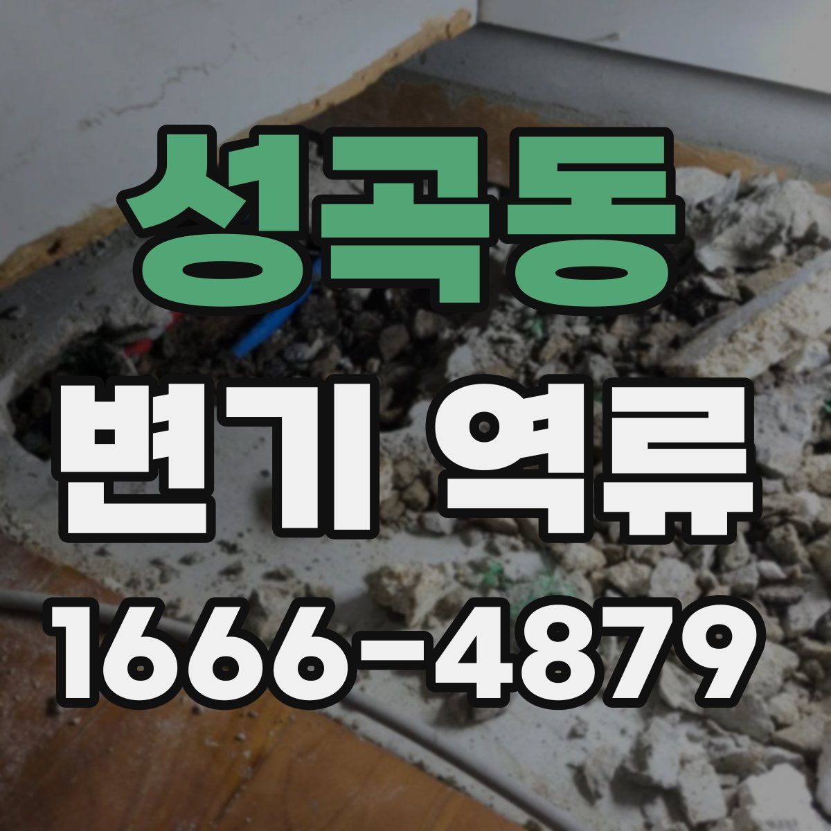 성곡동 변기 역류