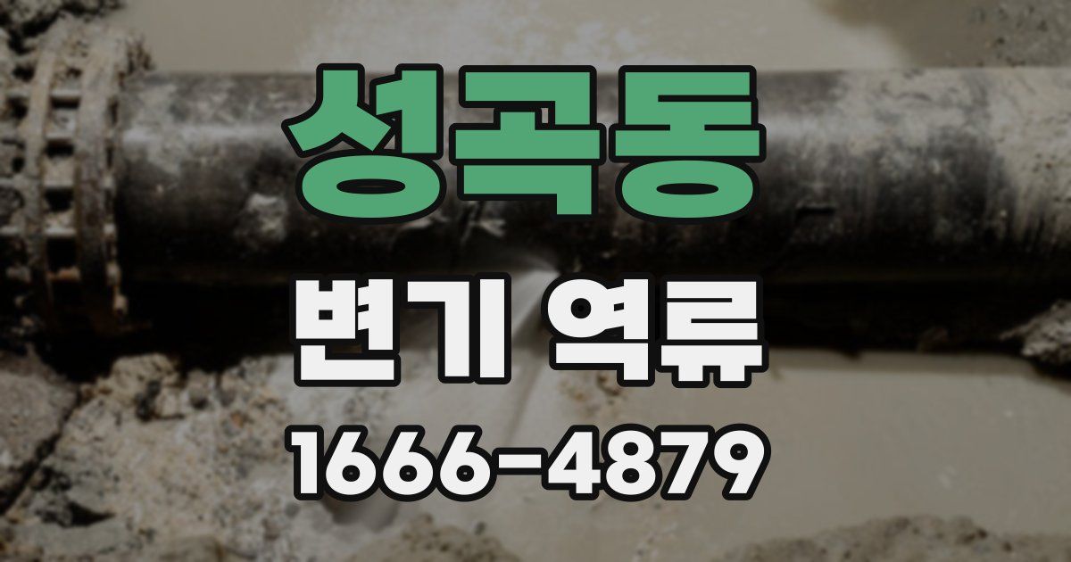 성곡동 변기 역류