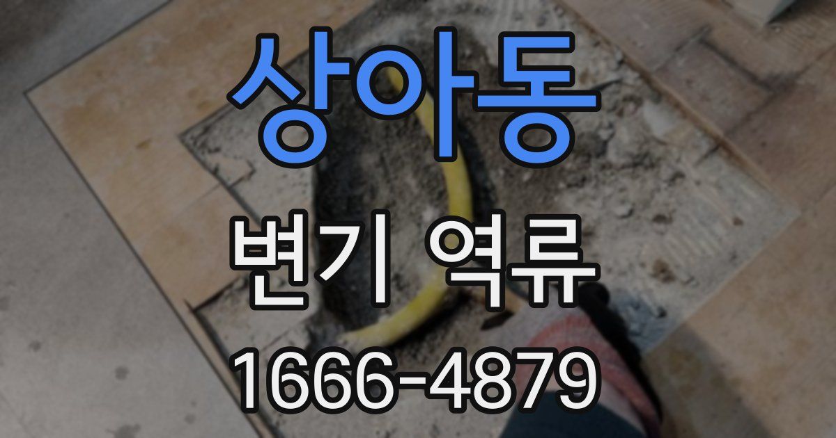 상아동 변기 역류