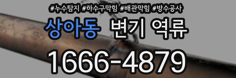 상아동 변기 역류