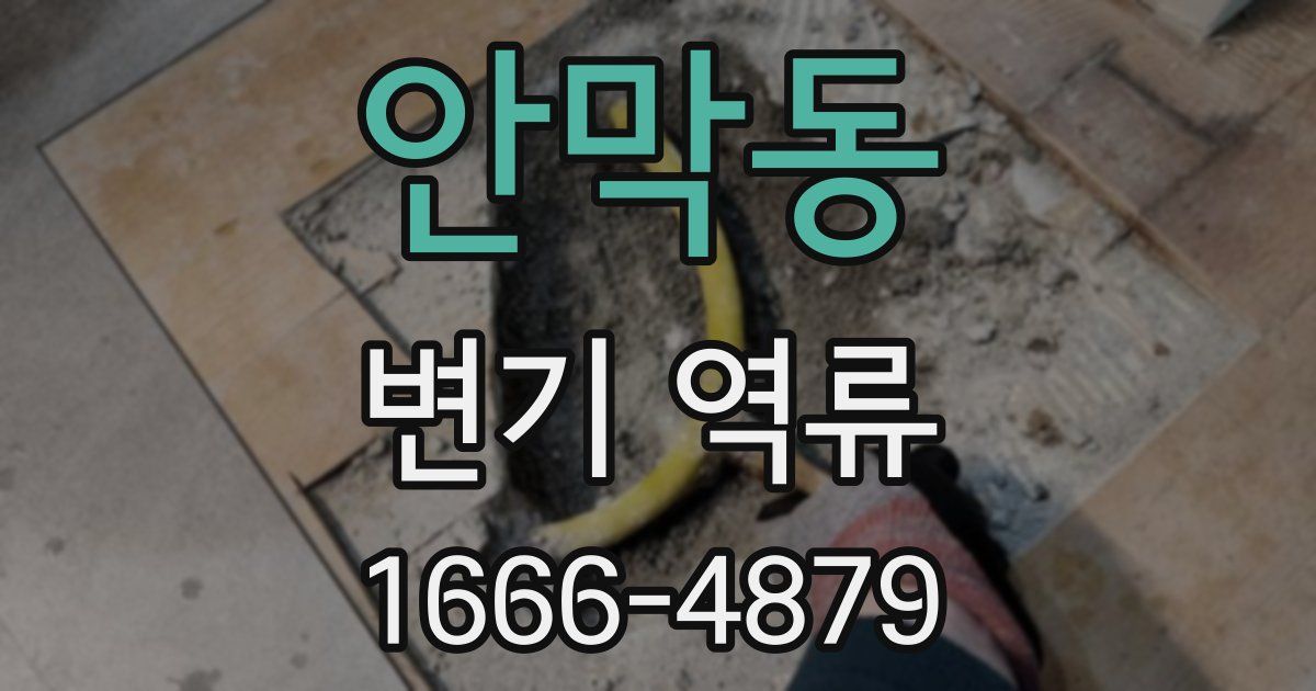 안막동 변기 역류