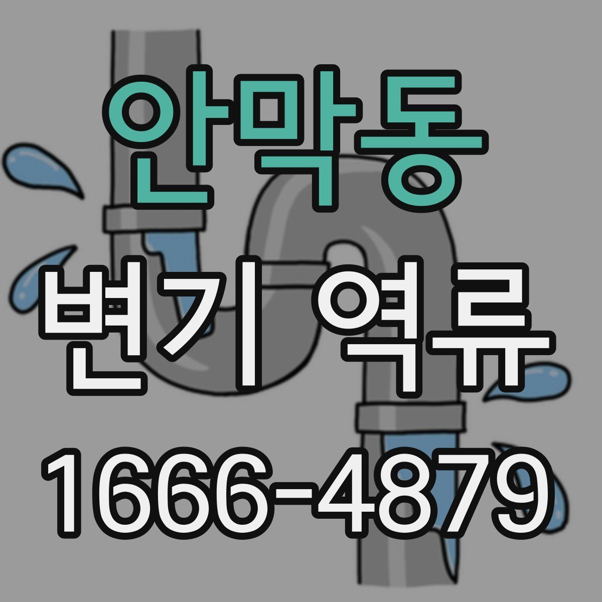 안막동 변기 역류