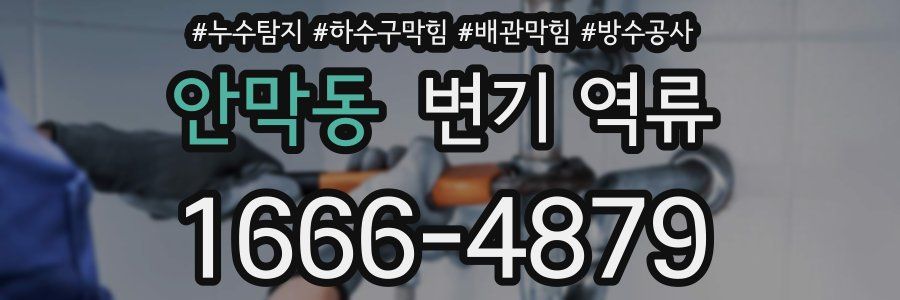 안막동 변기 역류