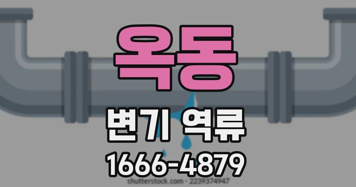 옥동 변기 역류