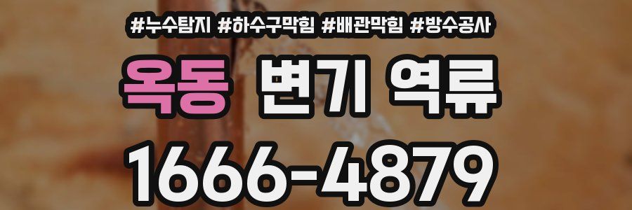 옥동 변기 역류