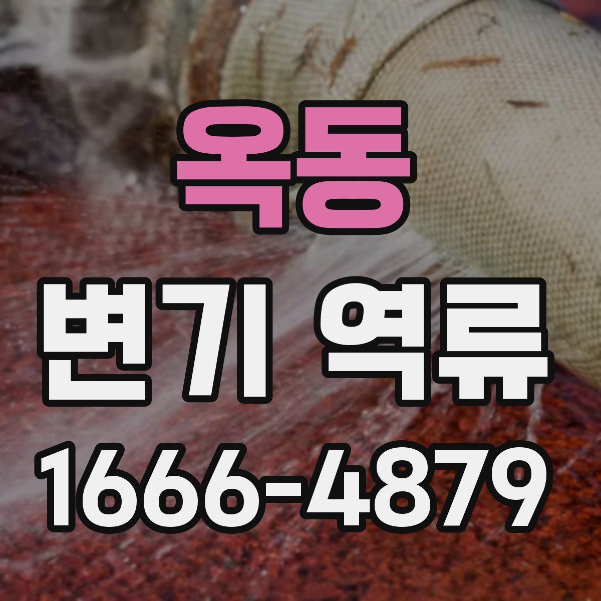 옥동 변기 역류