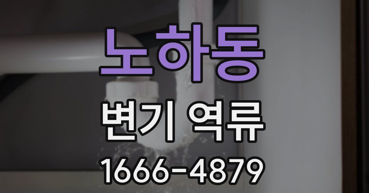 노하동 변기 역류