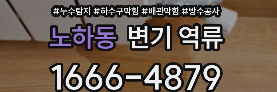 노하동 변기 역류