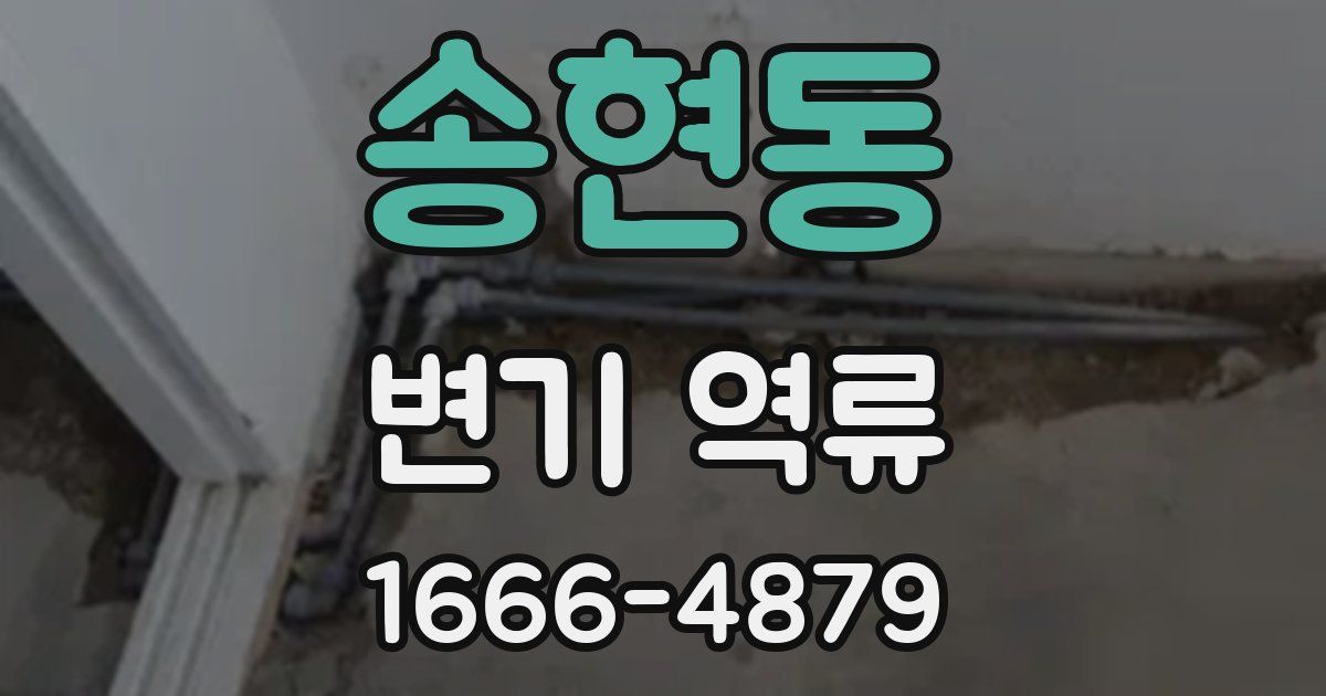 송현동 변기 역류